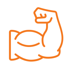 Nutesta Icons Muscles