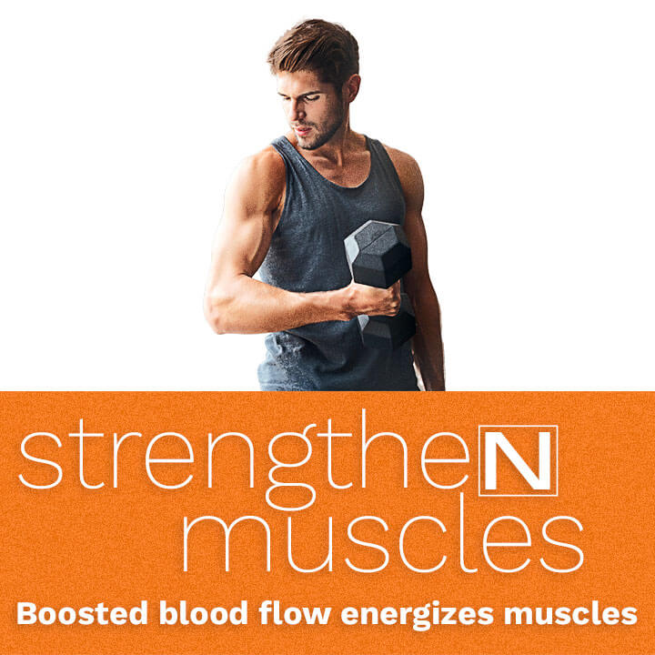 nutesta-brand-banners-MOBILE-1