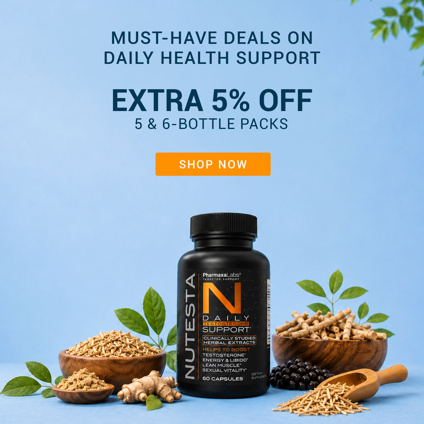 Nutesta Flash Sale