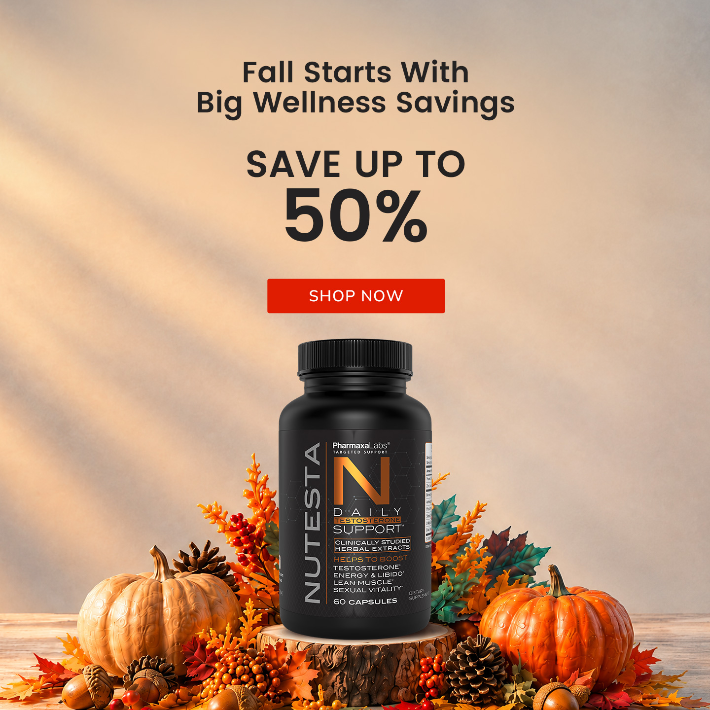 Nutetsa Fall Sale